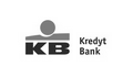 VBA dla Kredyt Bank